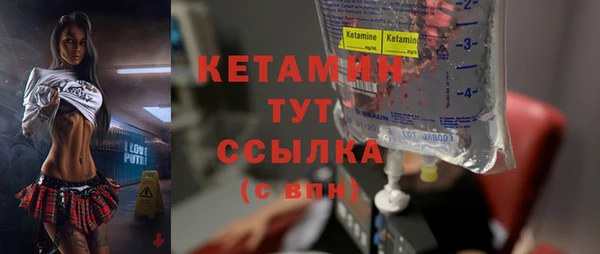 дмт Каменка