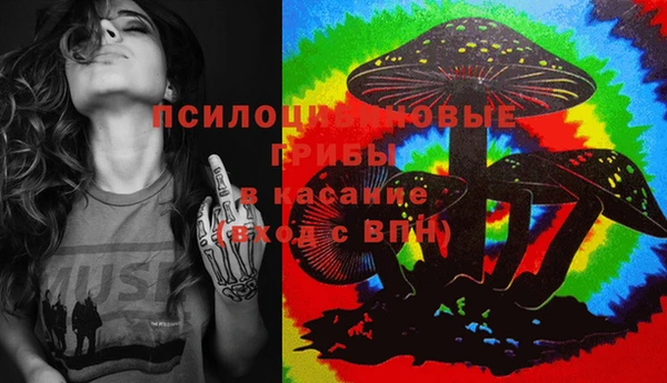 spice Кинешма