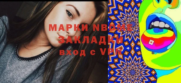 дмт Каменка
