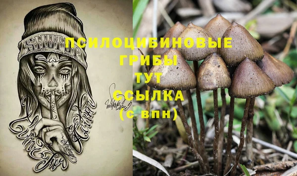 дмт Каменка