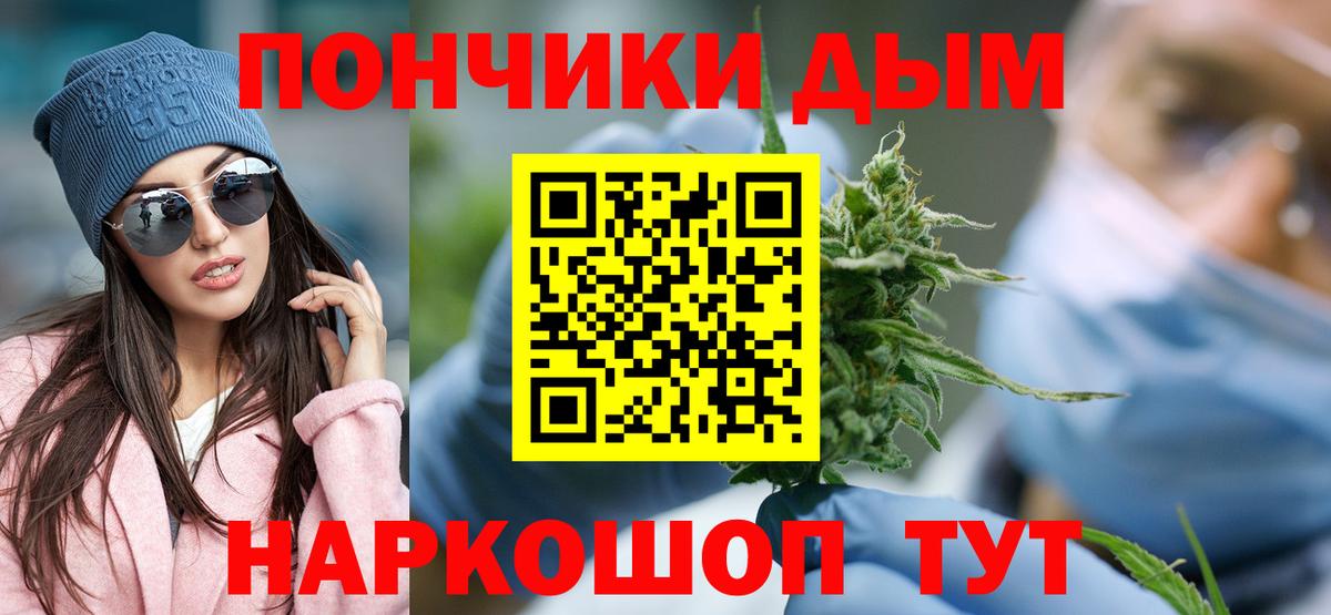 Канабис сатива Сокол